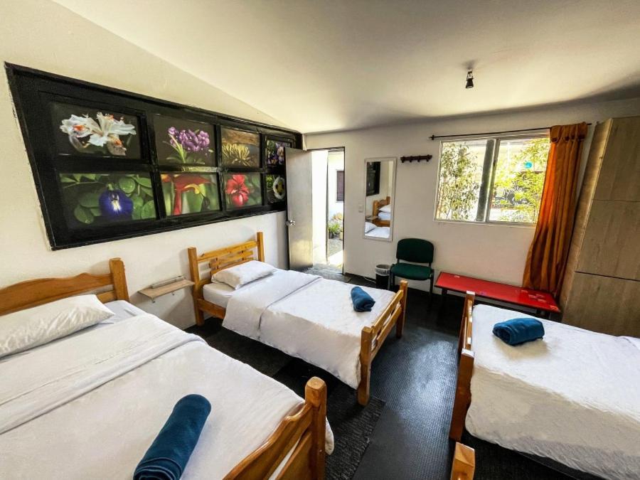 El Yarumo Hostel Богота Экстерьер фото
